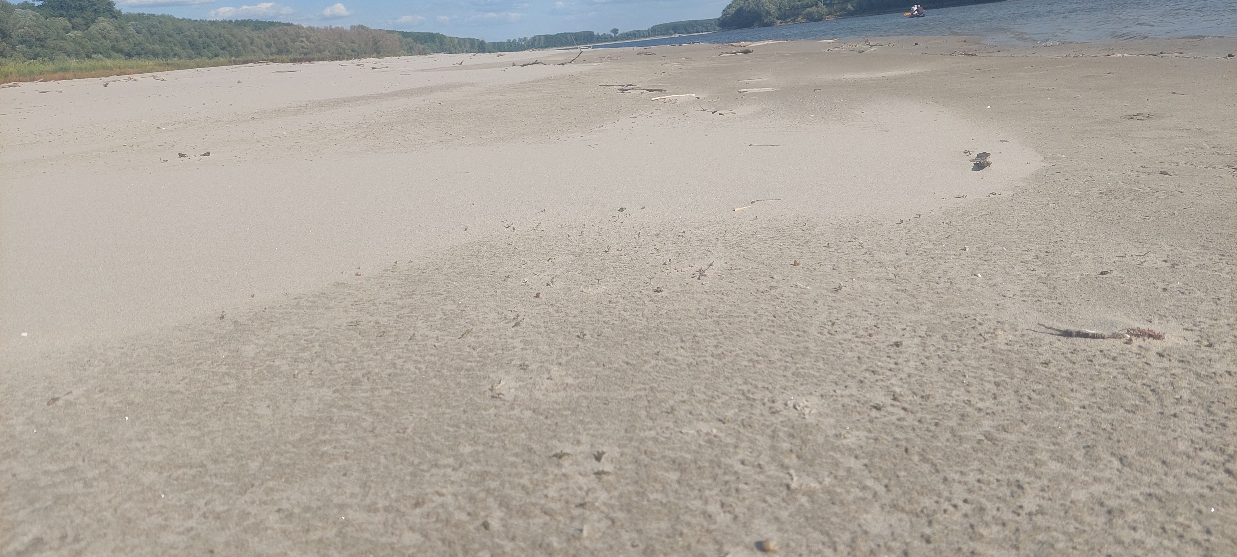 20260724_165837.jpg