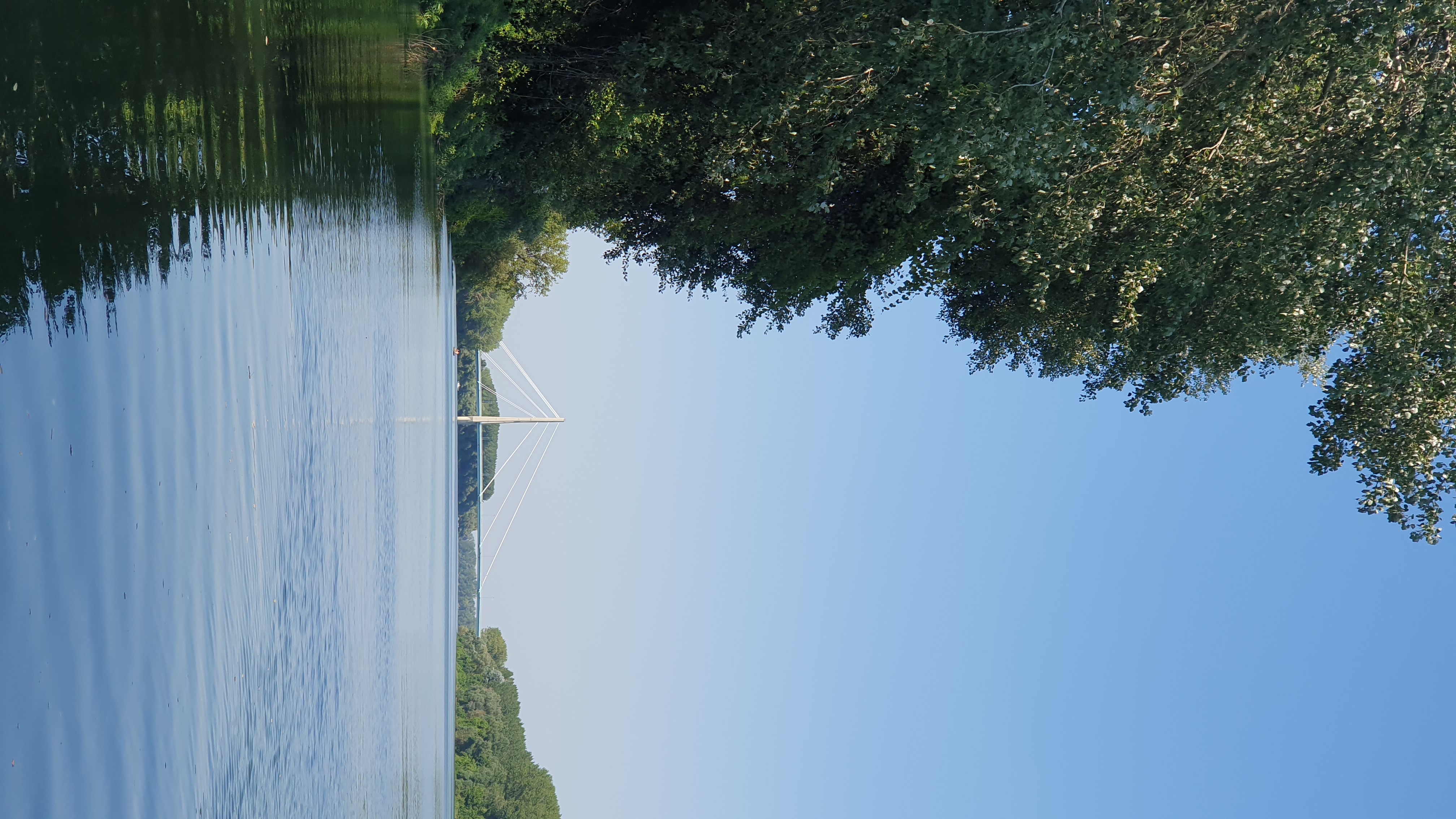 20250815_144711.jpg