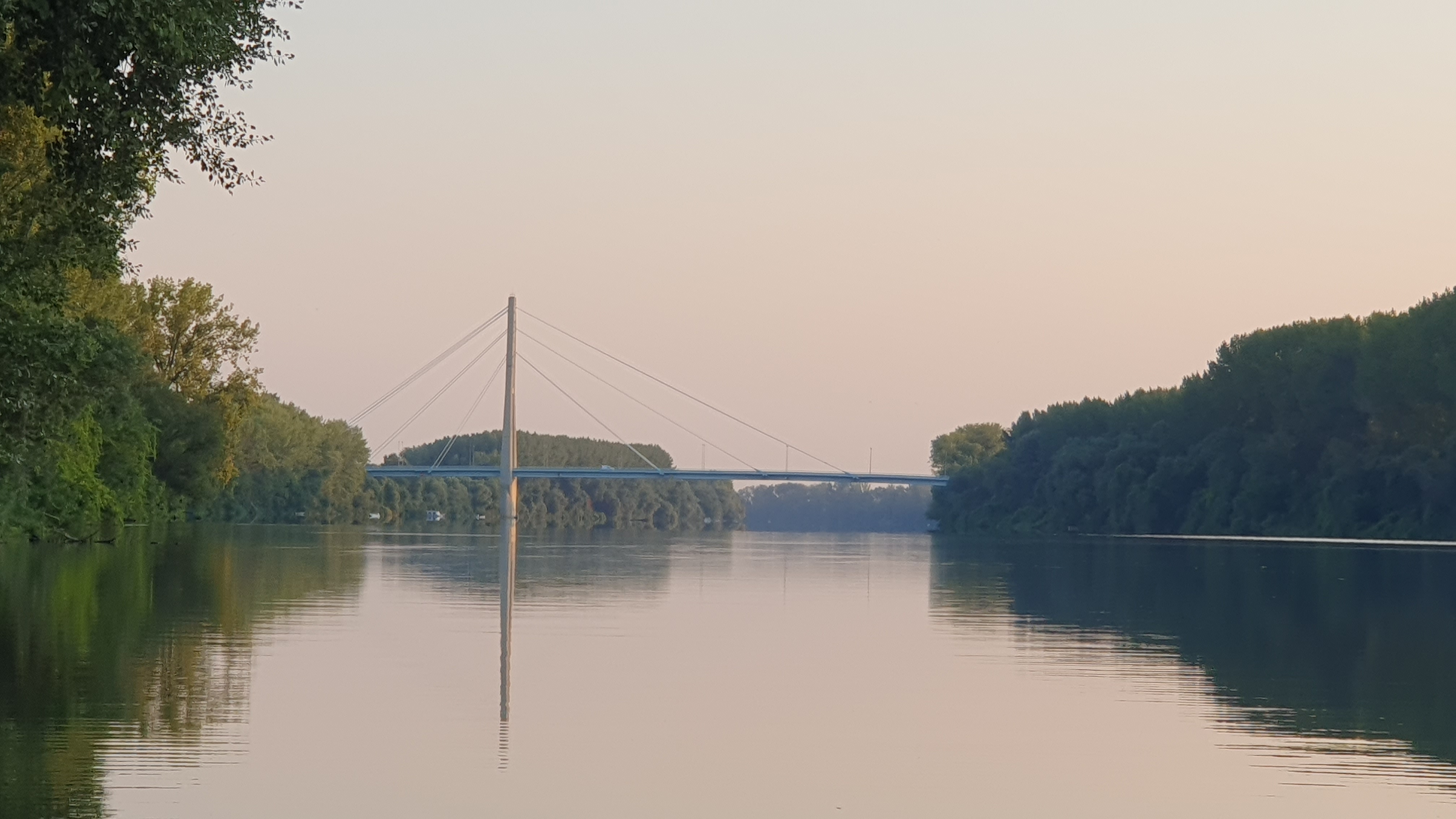 20250816_061725.jpg