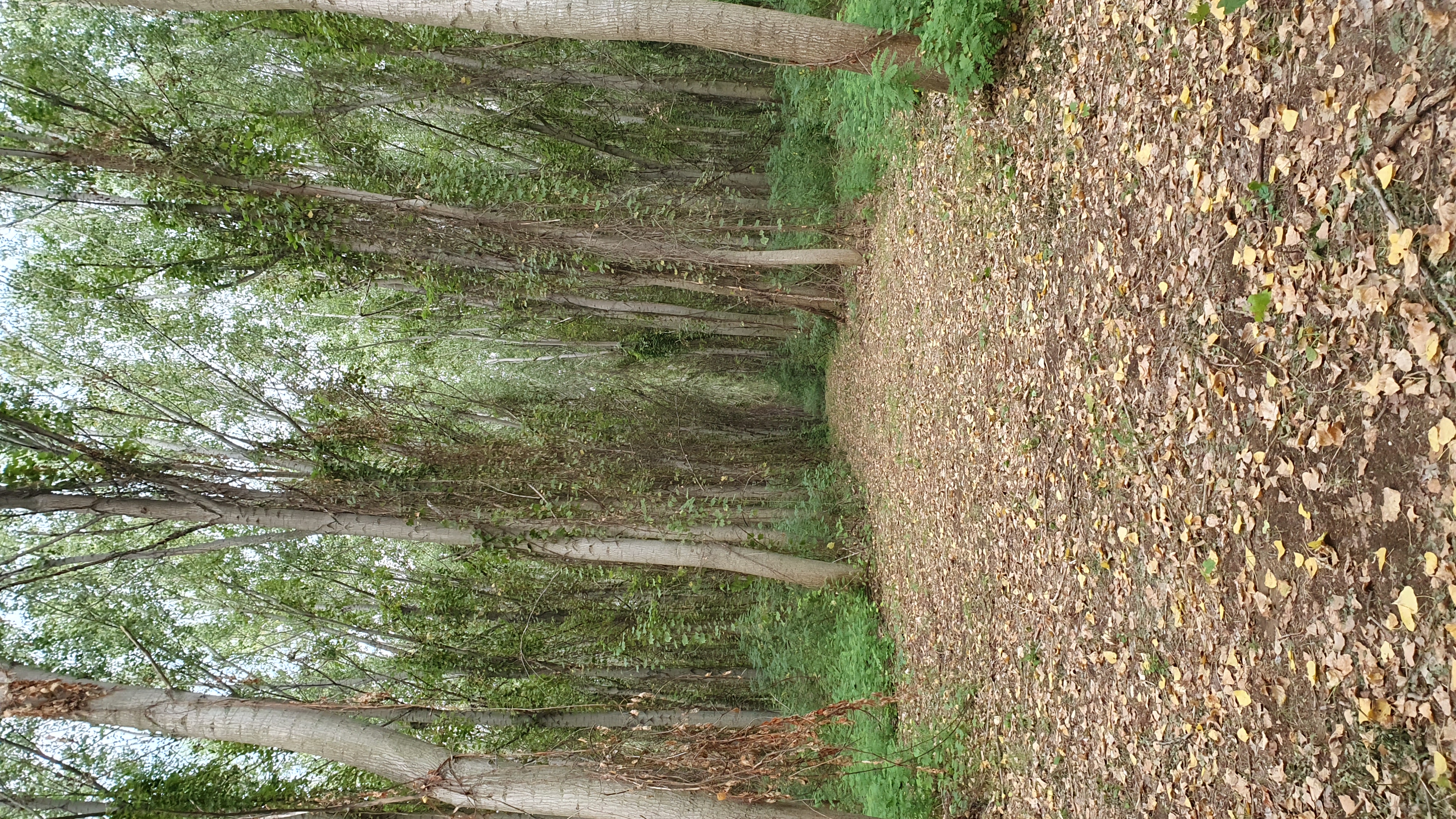 20250817_181817.jpg